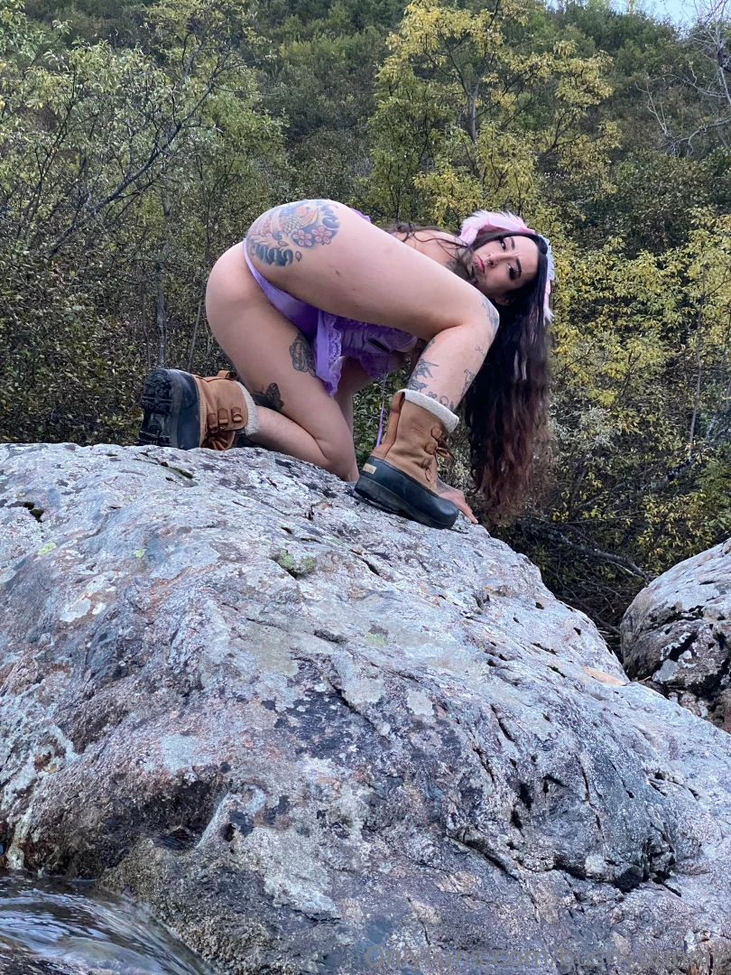 Bunnie on the rocks 