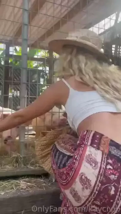 Visiting my farm friends 