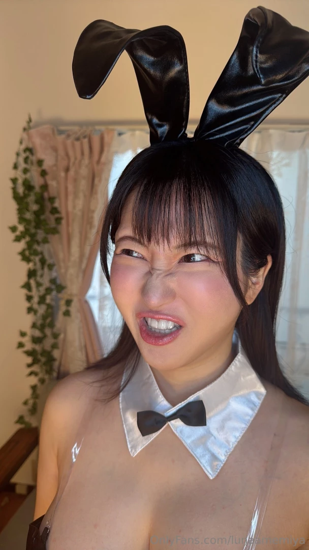 Sometimes i even get a face like this a bunny like this would cheer me 