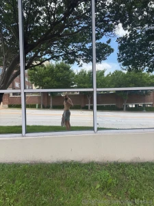 Save a horse ride a cowboy or something like that