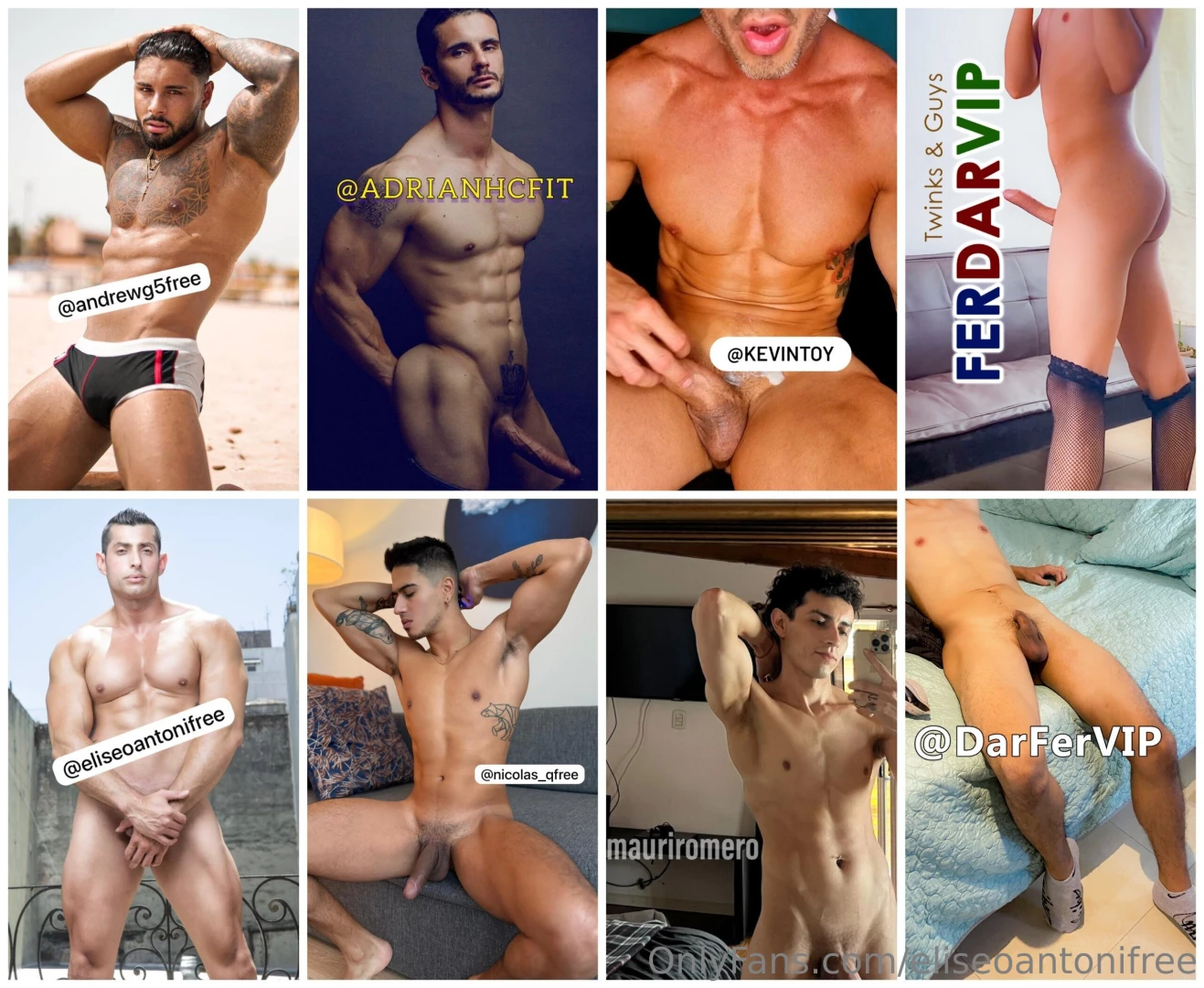 Ad andrewg5free adrianhcfit kevintoy ferdarvip eliseoantonifree 