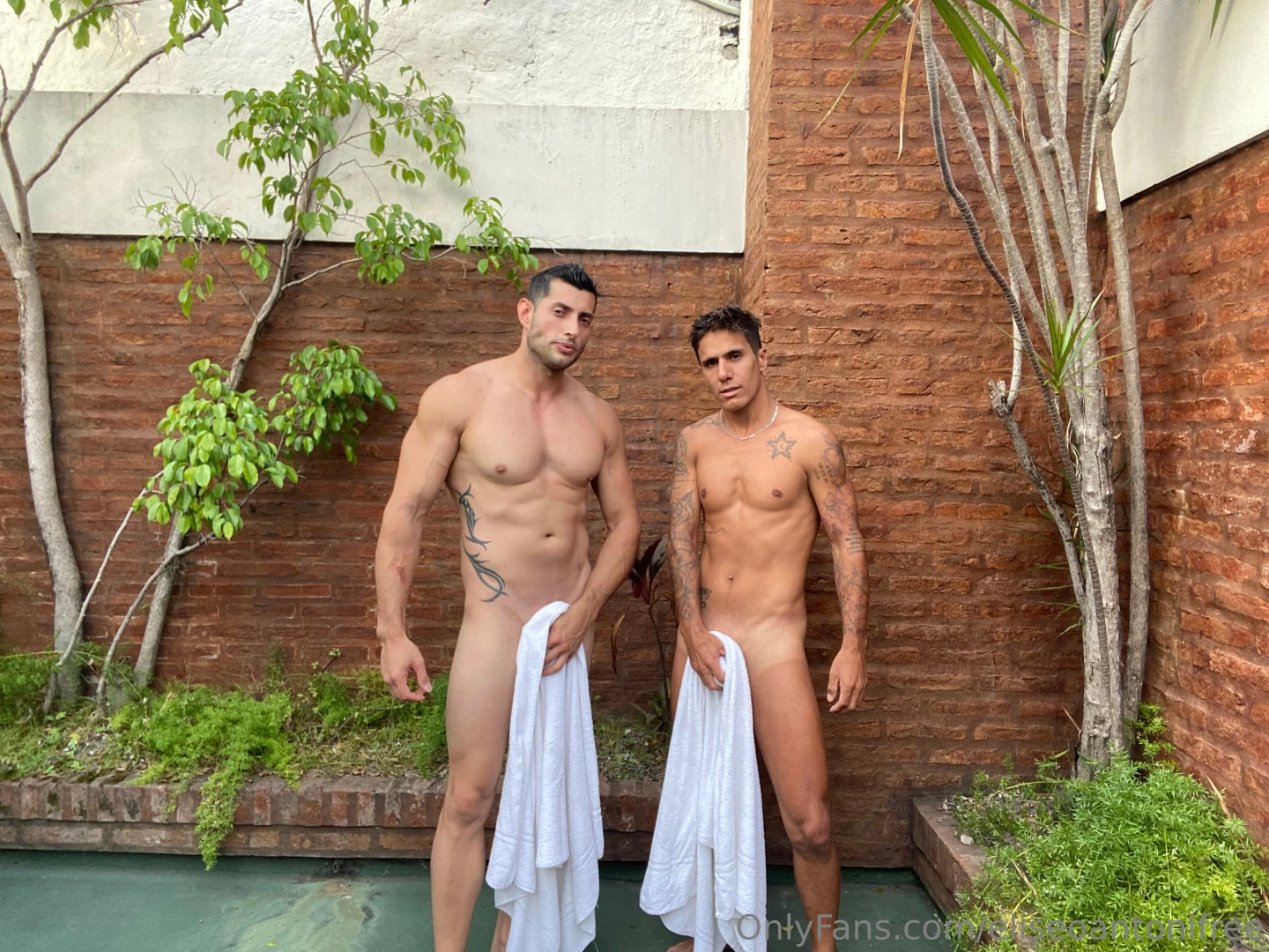 T gusta como nos queda el blanco vienes part 2 