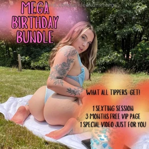 Mega birthday bundle in full effect everyone gets this bundle who tips