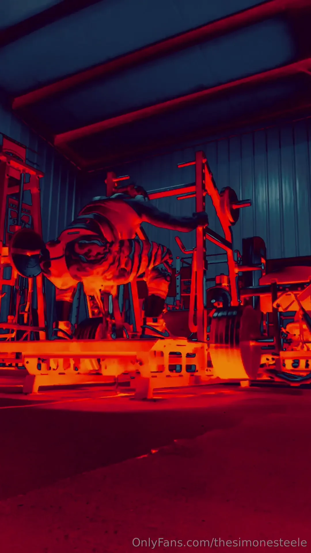 Daily post - back to my home gym and leg days 