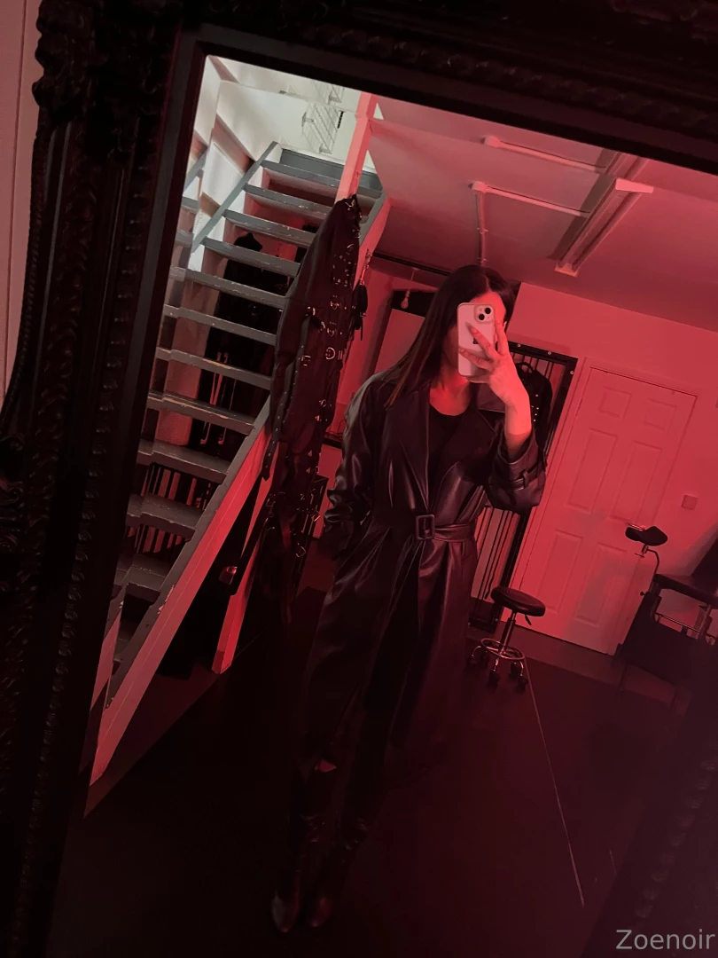 Mistress is up to no good how is your weekend going pets 