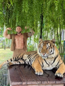 Kings of the jungle part 1