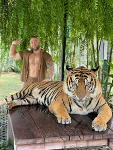 Kings of the jungle