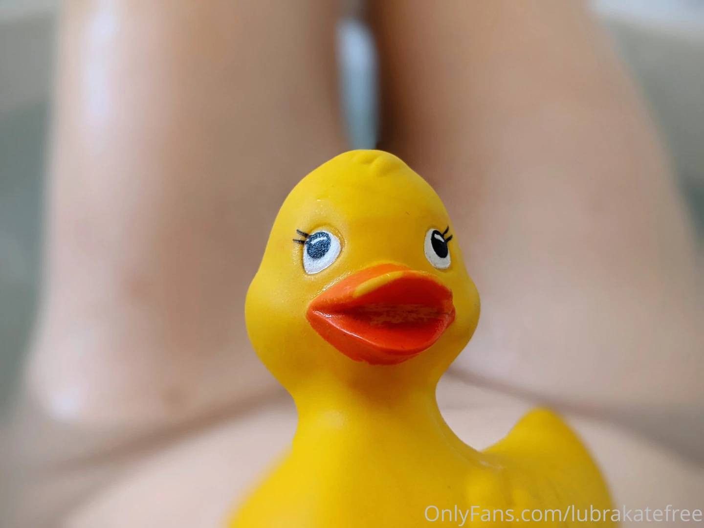 Ducky is as old as i am and loves being in pictures sometimes she gets part 1 