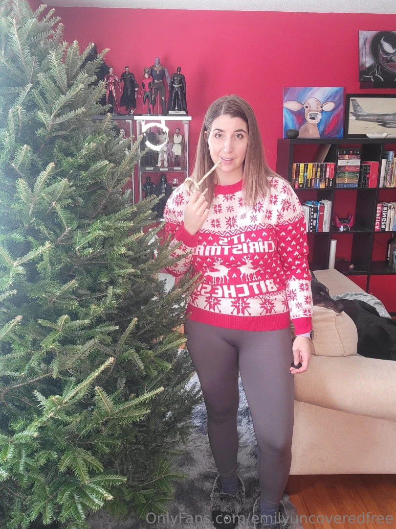 I ve got my tree up and i m ready to decorate 