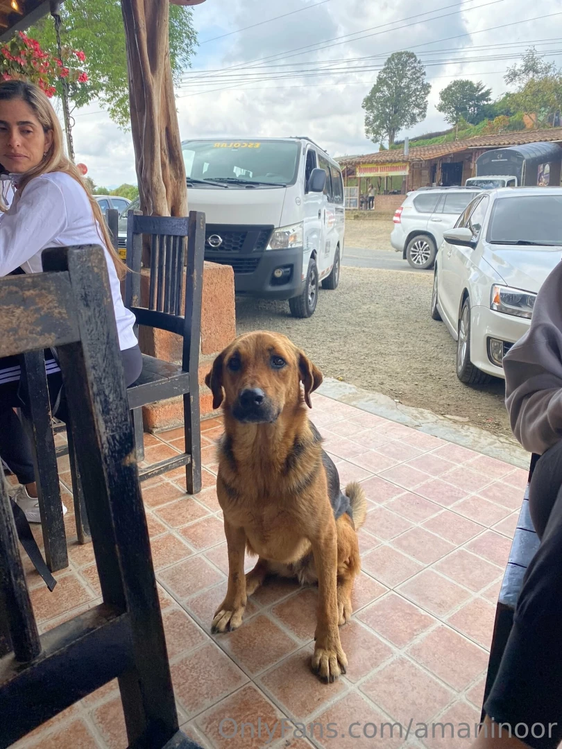 Making new friends part 1 