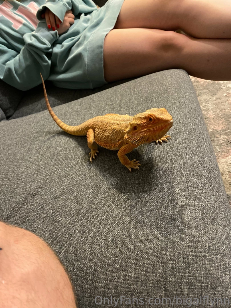 Some pictures from my chicago trip part 6 