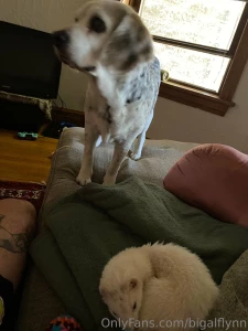 Some pictures from my chicago trip part 4