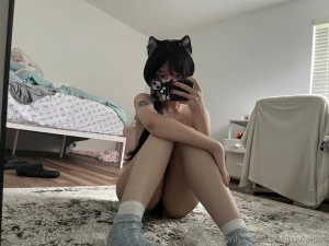 Cat gf
