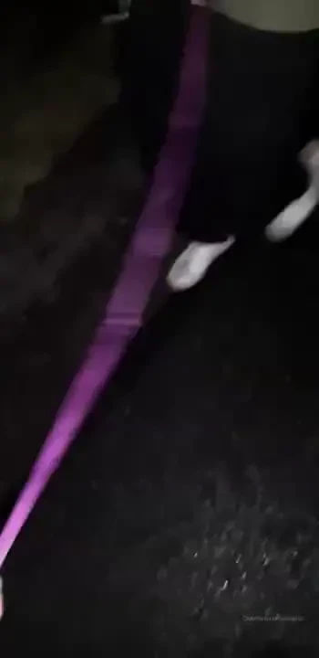 Im a good puppy vol2 hotswagg thx for a walk part 1 