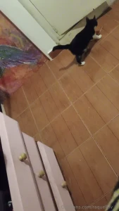 Hola vengo a actualizarte un poco de mi vida resulta que la semana