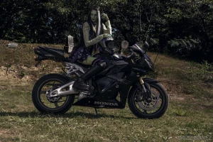 Bride of frankenstein cosplaying moto version complete with matching part 3