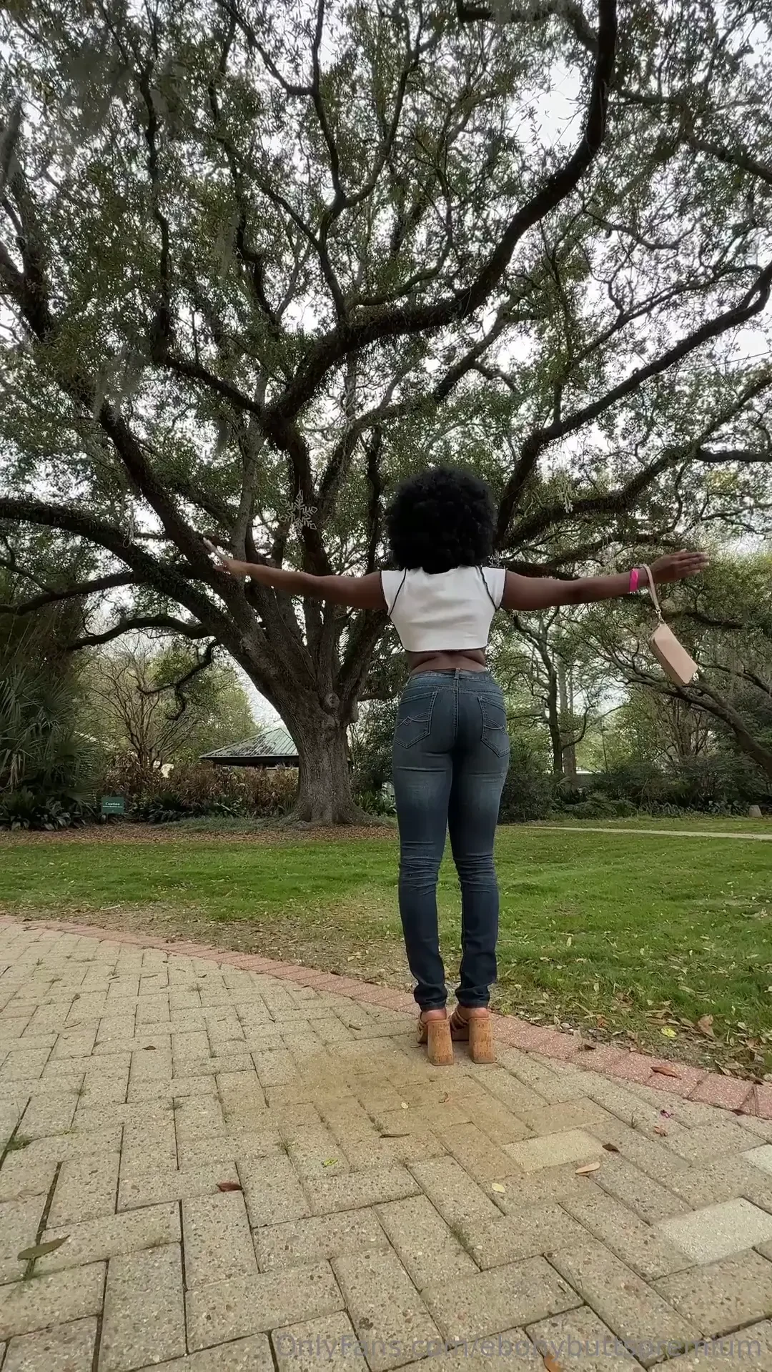 Trees in louisiana are pretty 