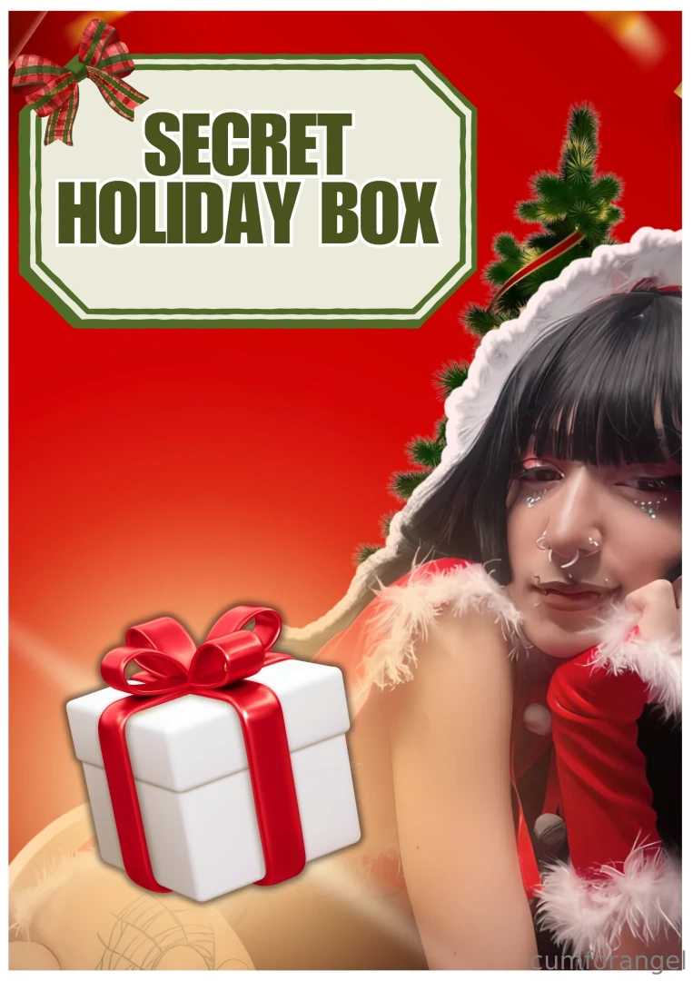 Secret holiday box this isn t your average holiday gift ready to 