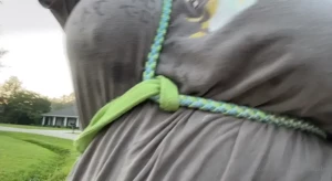 Good morning got in a good walk this morning with the pup