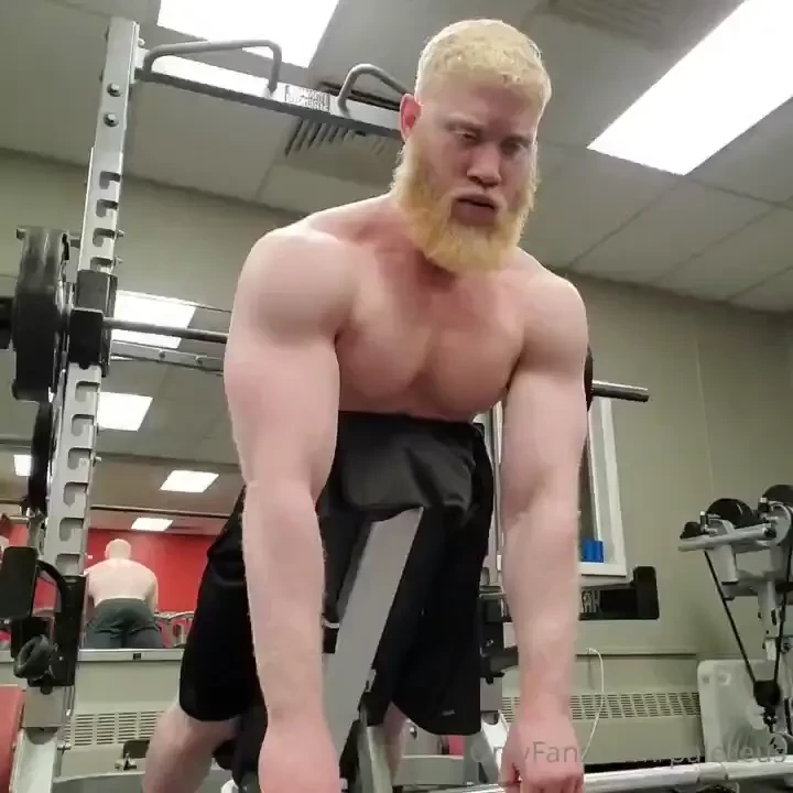 Boulder shoulder supersets the post workout flex chest supported part 2 
