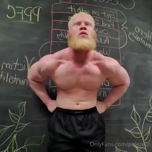 Boulder shoulder supersets the post workout flex chest supported part 4