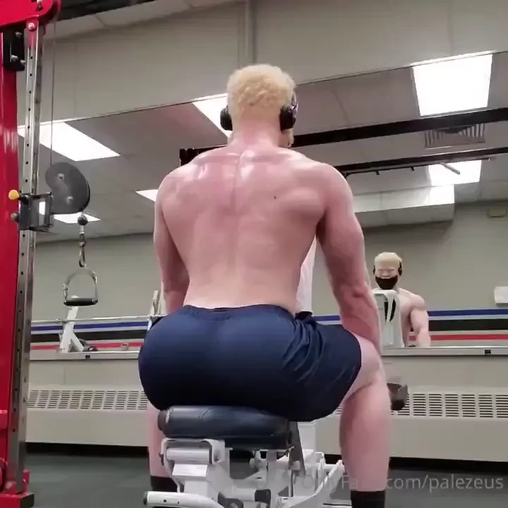 Alpha xxl zeus part 1 