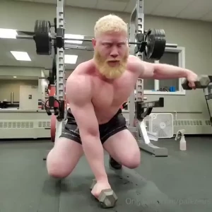 Full body workout standing lat pull downs bear plank lateral raises part 2