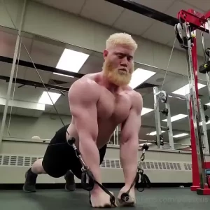 - ---chest day--- - part 1