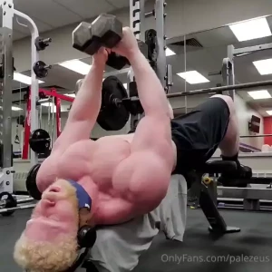 Chest gains part 2