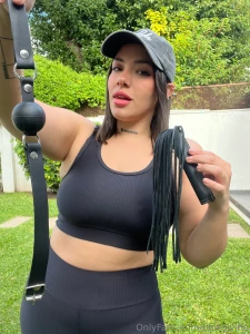 Gag or whip choose little dog