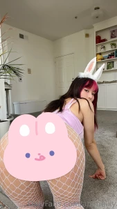 I m such a horny bunny girl waiting to get fucked joi sent in dms