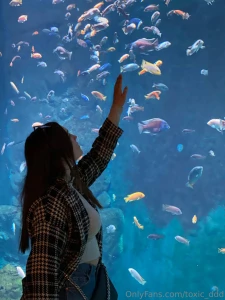 When i look at these fish i imagine that one of them is me i wonder