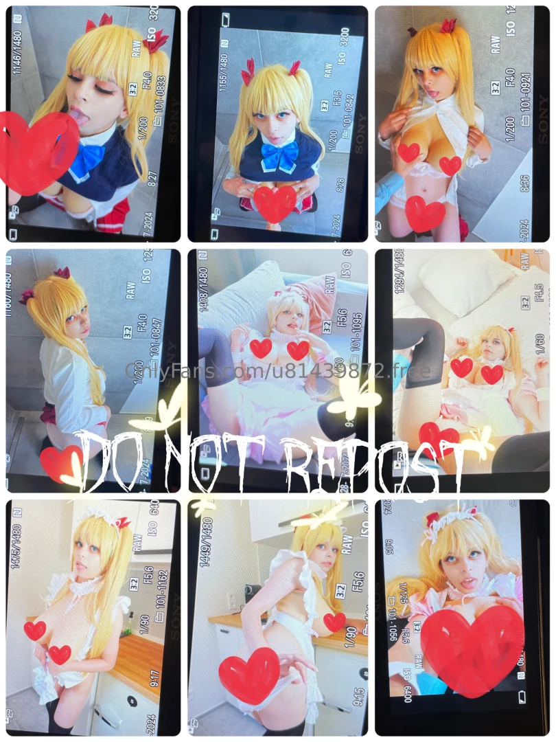 The last update on this project so far is a lot of toy dick picture as 