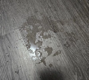 I forgot to post the aftermath from last nights stream turns out i