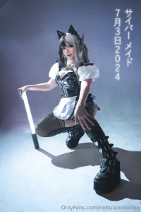 Cyber maid at your service