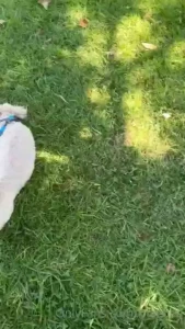 Do you think toby living his best life