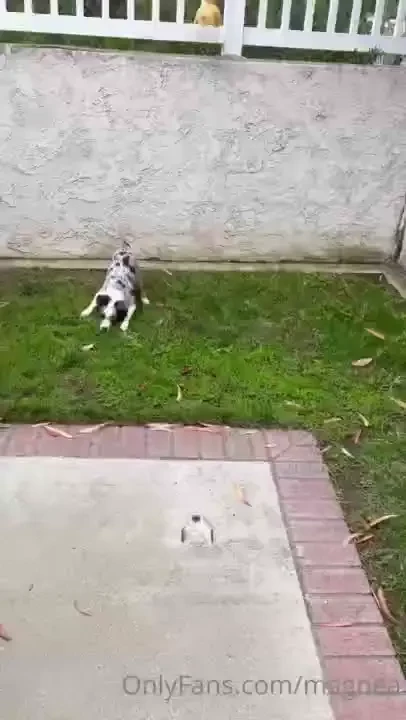 Girlie is here i m kinda beat up running around with her like crazy 