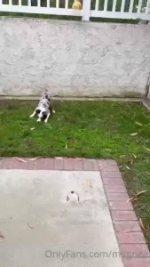 Girlie is here i m kinda beat up running around with her like crazy