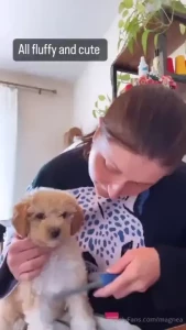 Look at this cute little angel