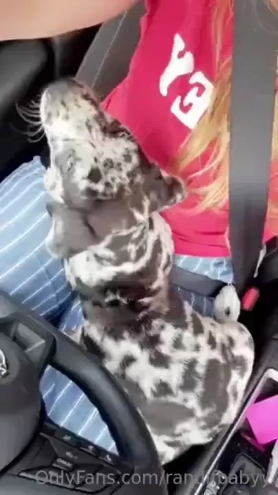 Sorry i got a new puppy and i ve been mia 