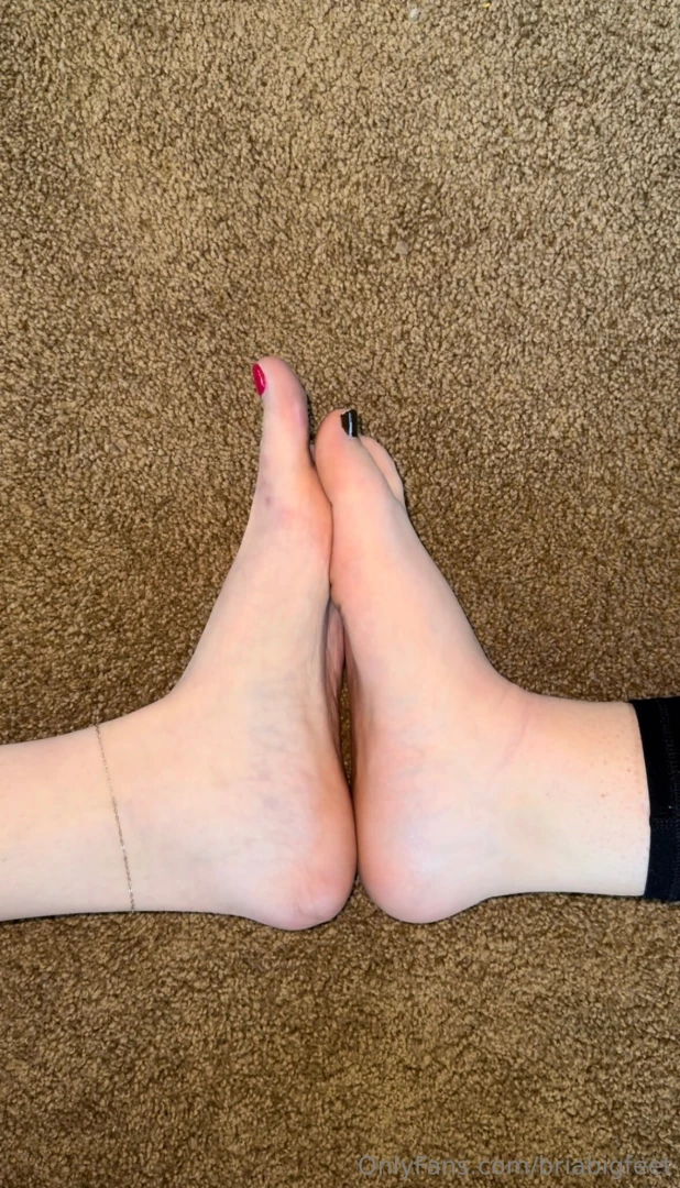 What you ve all been waiting for battle of the bigs bria vs bella a 