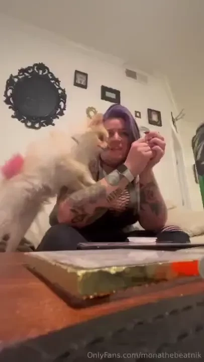 What are we doing today tiny 