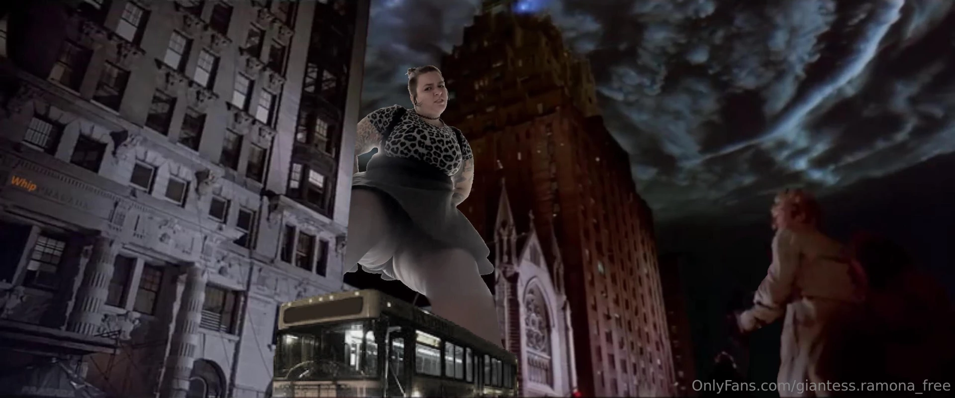 Goddess of the night 