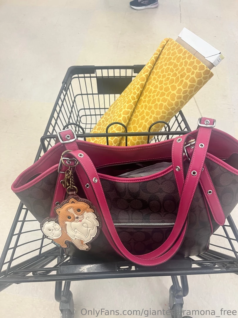 Giraffe print fabric 