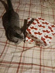 I don t know if you re keeping a list of talents for me but gift part 3