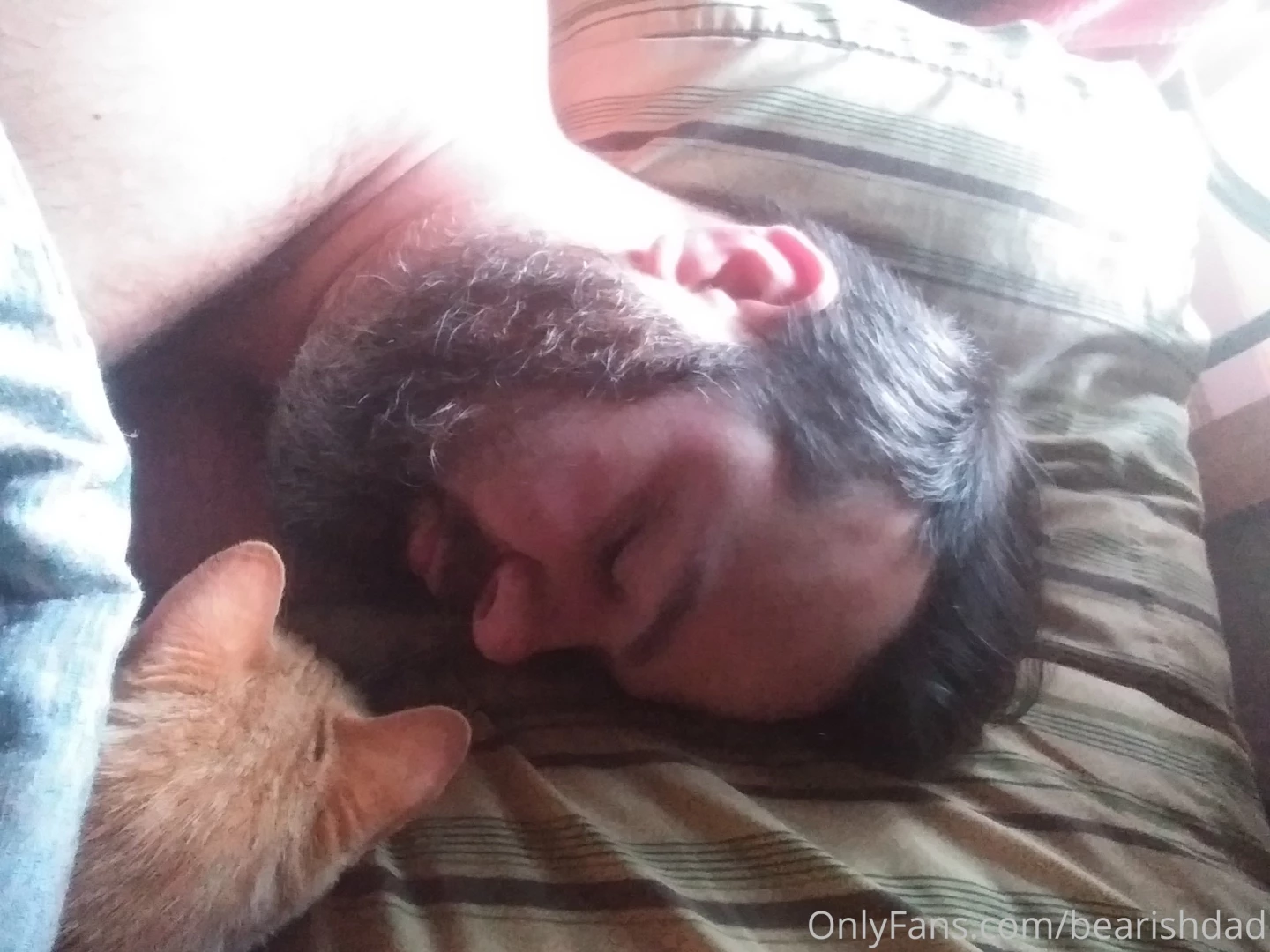 Doctor winchester s been feeling a little lonely since foster biscuit part 1 