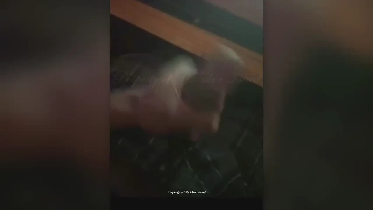 They say that milk does a body good so drink up no need to type 