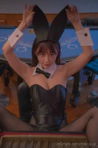 Do you know what is covered in this costume