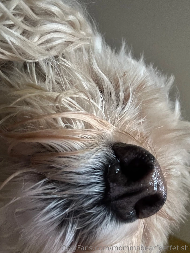 Watch i don t sniff you up this morning i am hungry 