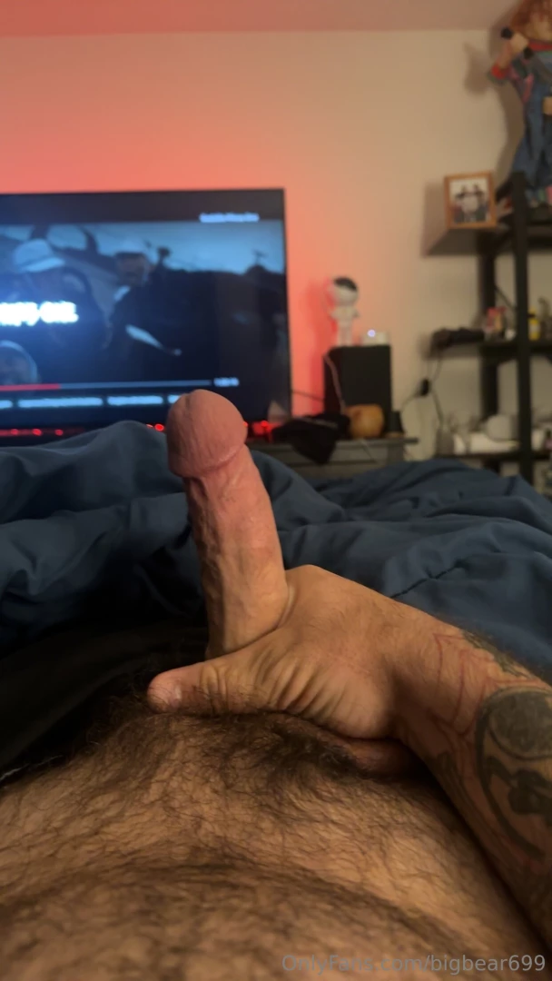 Bigbear699 